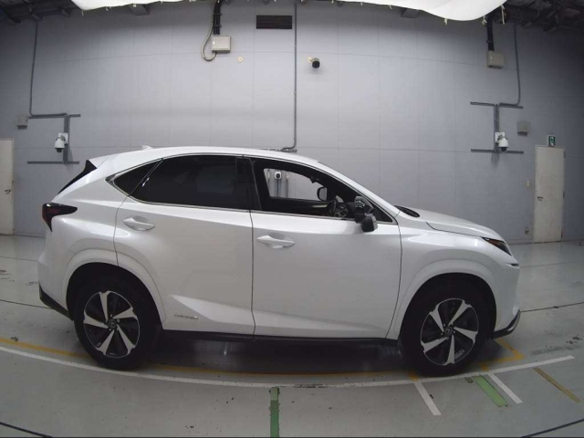 LEXUS NX 2020