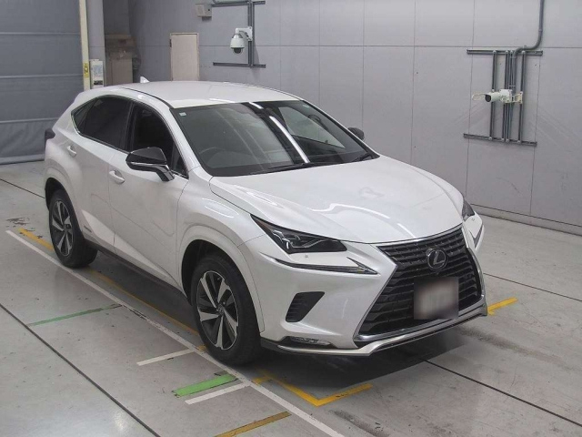 LEXUS NX 2020
