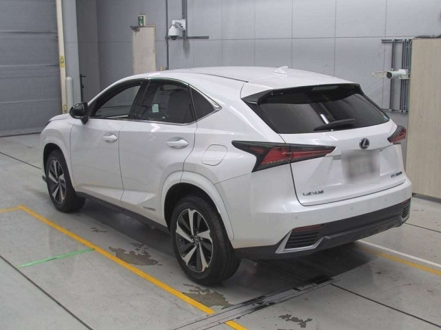 LEXUS NX 2020