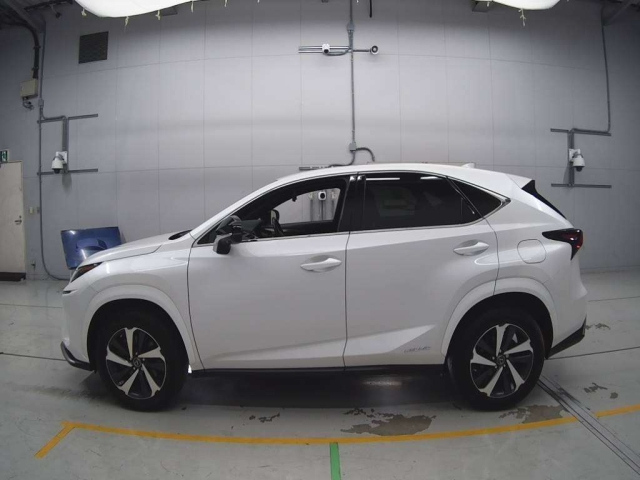 LEXUS NX 2020