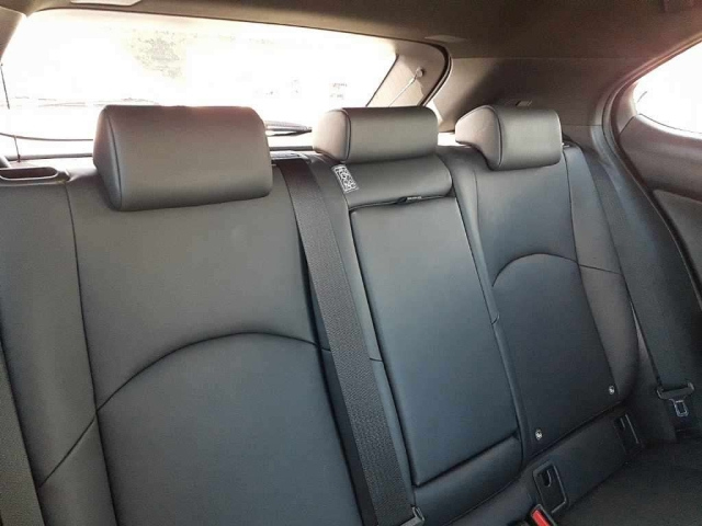 LEXUS UX 2019