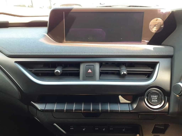 LEXUS UX 2019