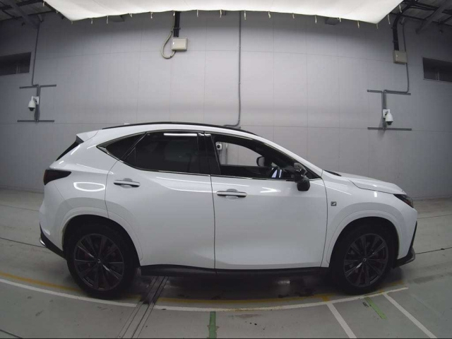LEXUS NX 2022