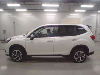 catalog-car-5