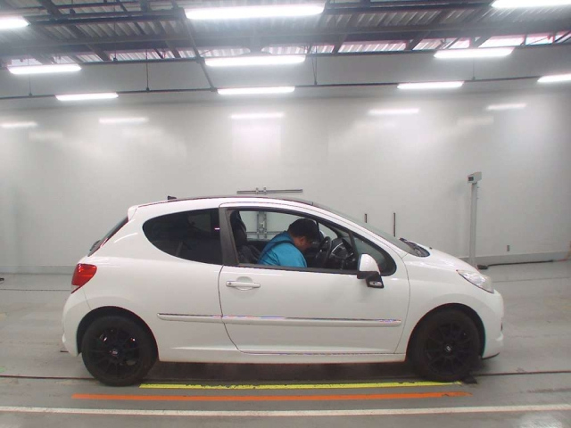 PEUGEOT 207 2010