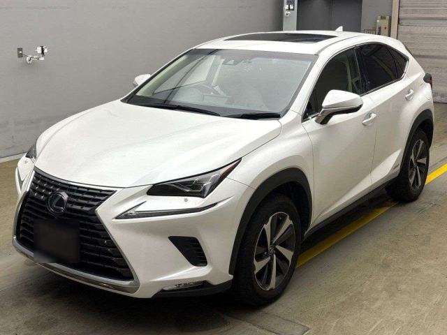 LEXUS NX 2018