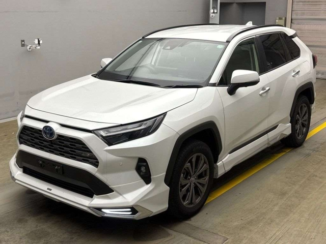 TOYOTA RAV4 2024