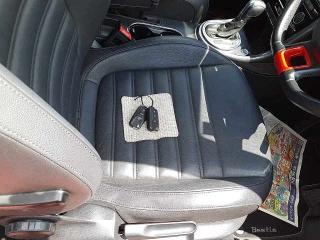 VOLKSWAGEN THE BEETLE 2019