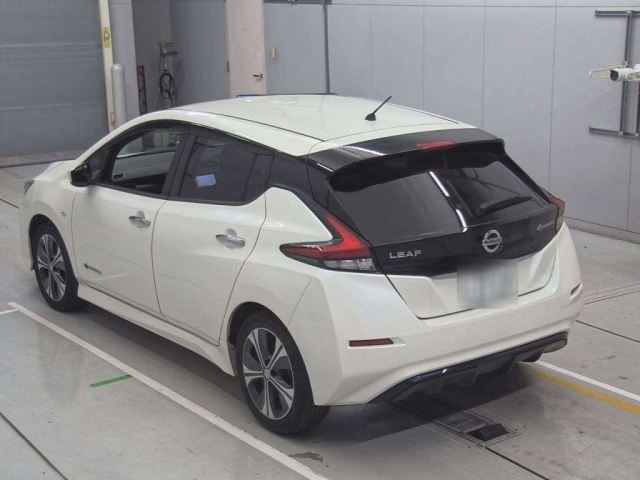 NISSAN LEAF 2018