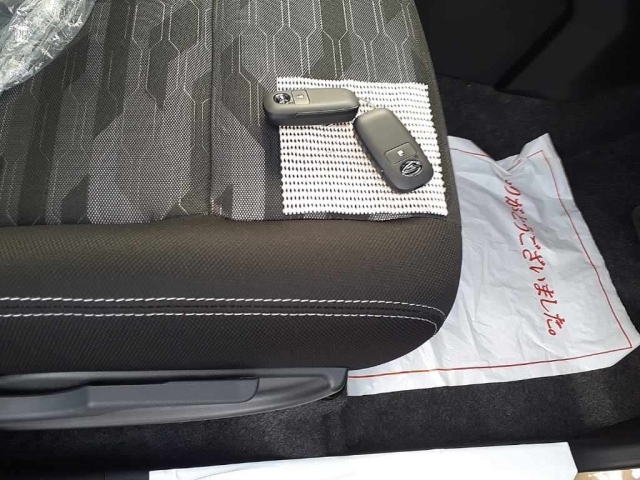 DAIHATSU TAFT 2024