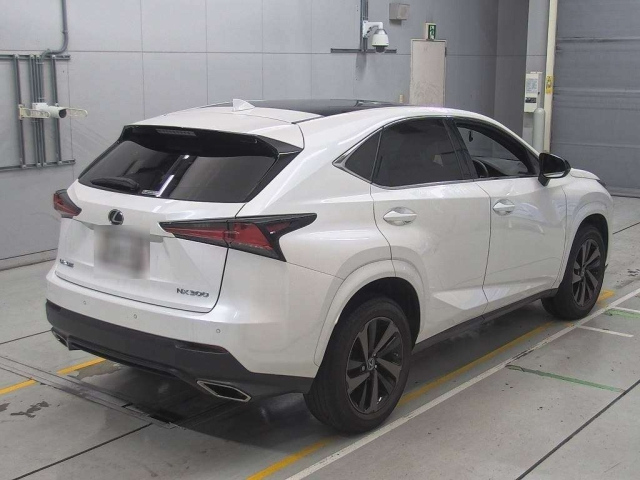 LEXUS NX 2020