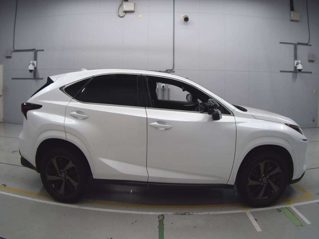 LEXUS NX 2020