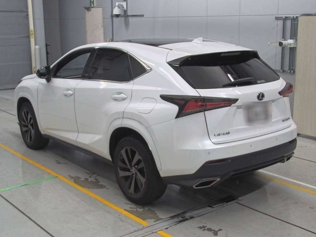 LEXUS NX 2020