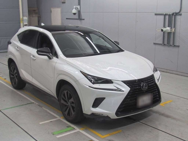 LEXUS NX 2020