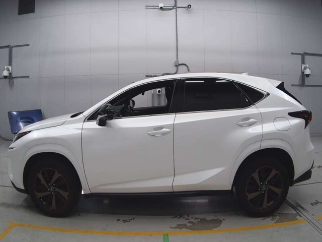 LEXUS NX 2020