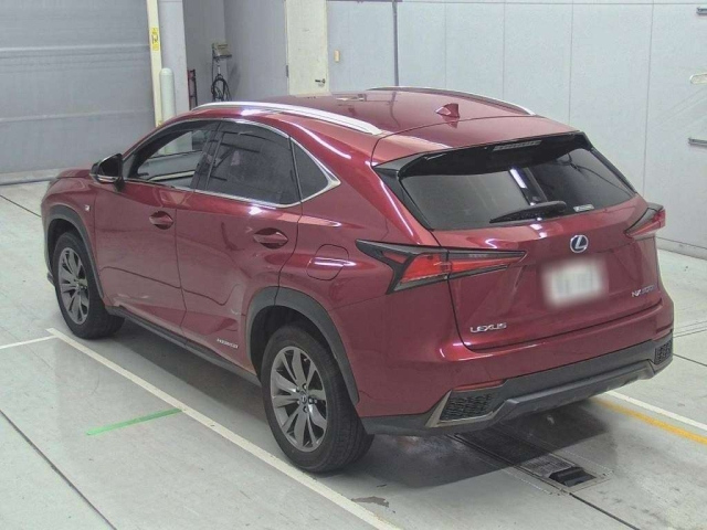 LEXUS NX 2018