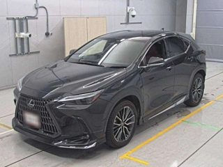 LEXUS NX 2023