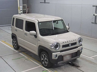 SUZUKI HUSTLER 2024