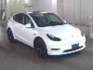 Заказать OTHERS MODEL Y