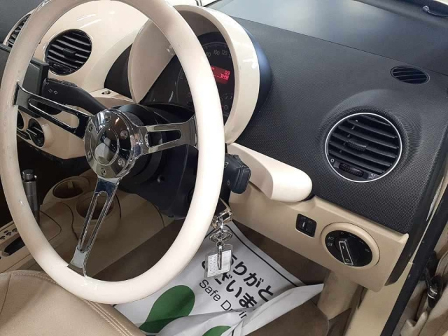 VOLKSWAGEN NEW BEETLE 2010