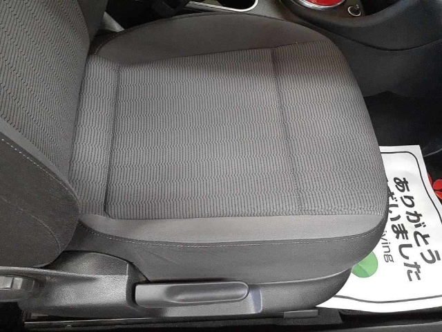 VOLKSWAGEN THE BEETLE 2016