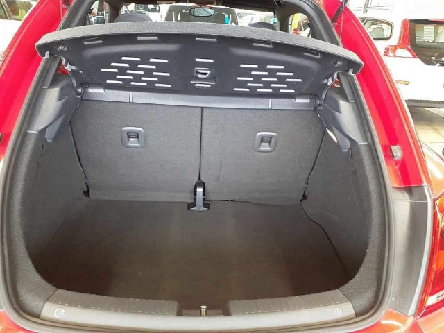 VOLKSWAGEN THE BEETLE 2016