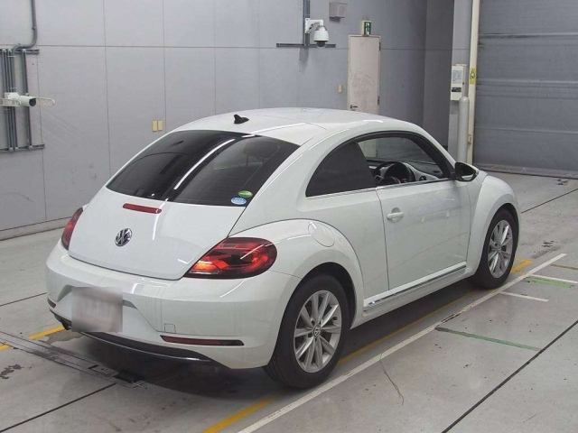 VOLKSWAGEN THE BEETLE 2019