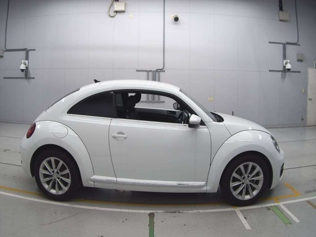 VOLKSWAGEN THE BEETLE 2019
