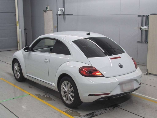 VOLKSWAGEN THE BEETLE 2019
