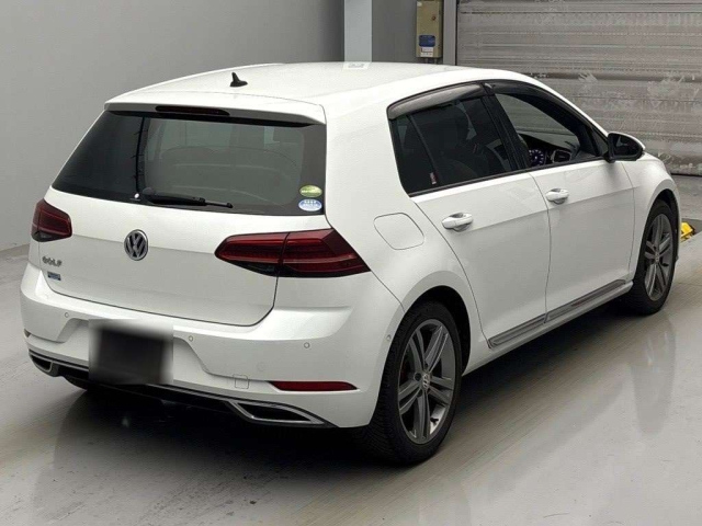 VOLKSWAGEN GOLF 2019