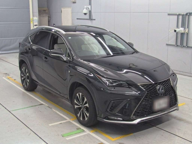 LEXUS NX 2019