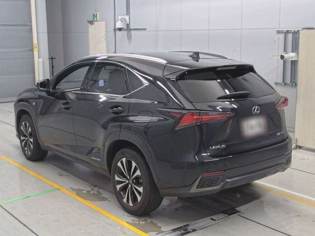 LEXUS NX 2019
