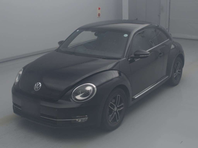 VOLKSWAGEN THE BEETLE 2016