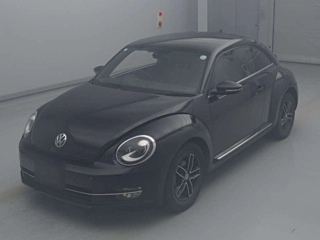VOLKSWAGEN THE BEETLE 2016