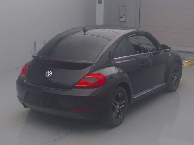 VOLKSWAGEN THE BEETLE 2016