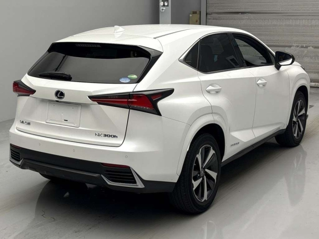 LEXUS NX 2020