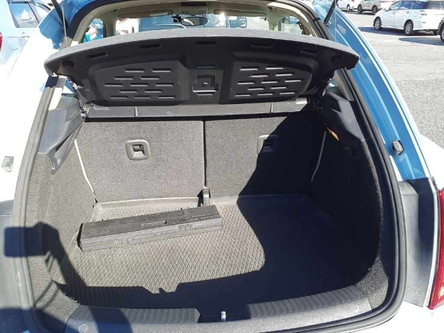 VOLKSWAGEN THE BEETLE 2015