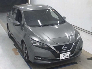 Nissan Leaf 2020