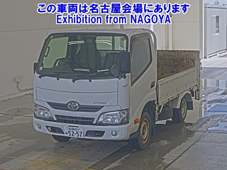 TOYOTA DYNA