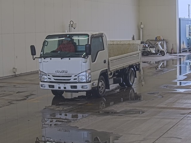 ISUZU ELF 2019