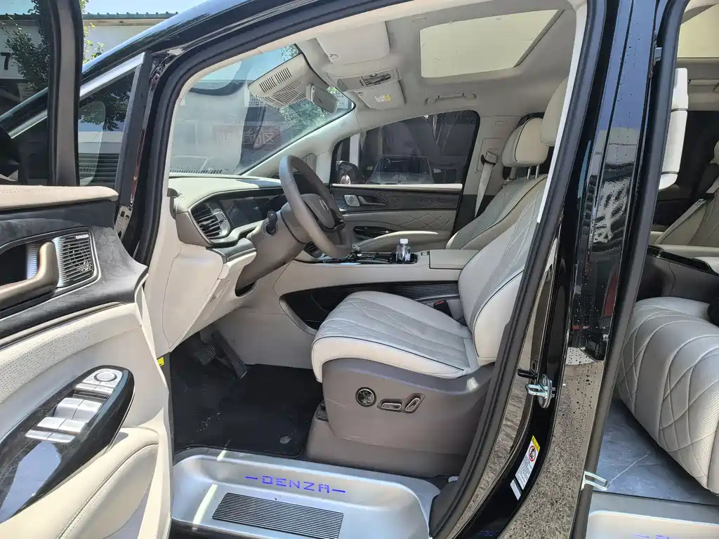 DENZA D9 2022