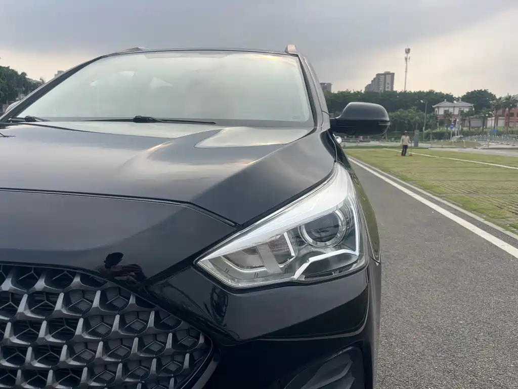 HAVAL M6 2019