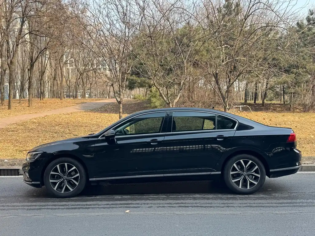 VOLKSWAGEN MAGOTAN 2020