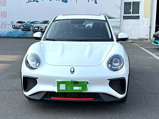 Заказать ORA GOOD CAT GT