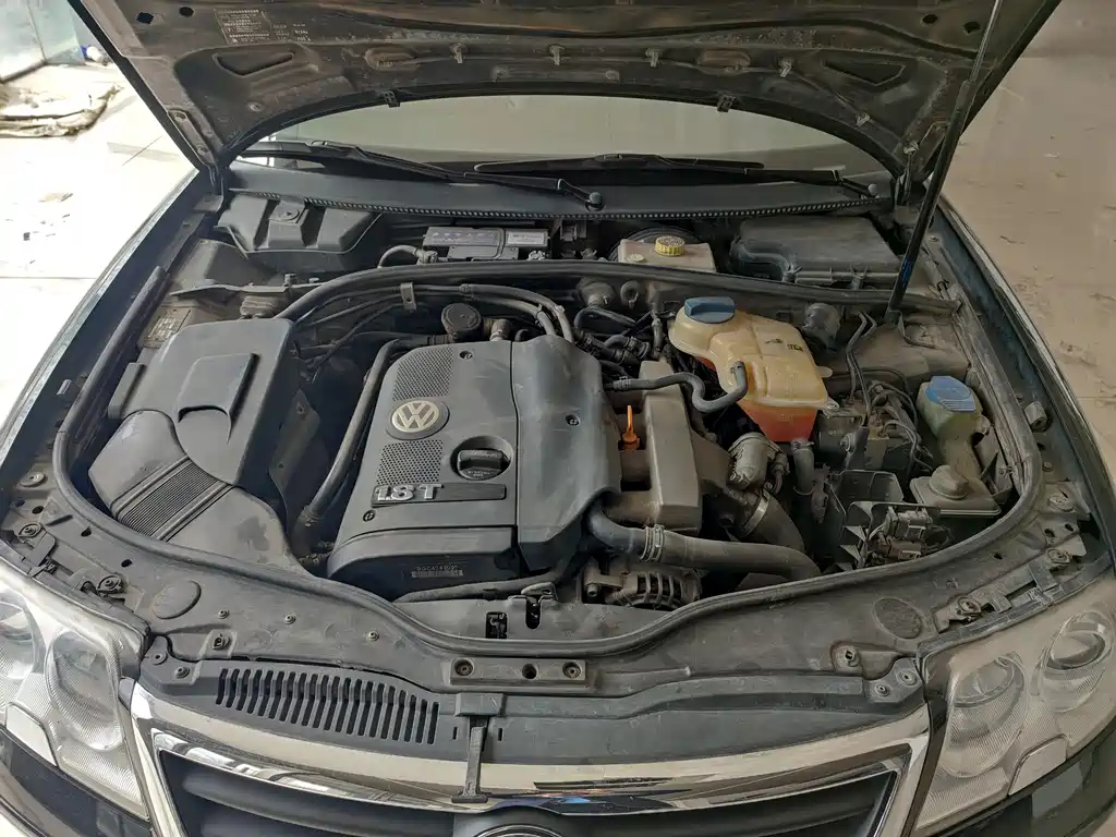 VOLKSWAGEN OTHER 2009