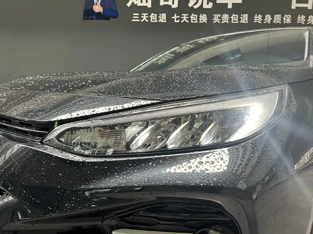 TOYOTA WILDLANDER 2020