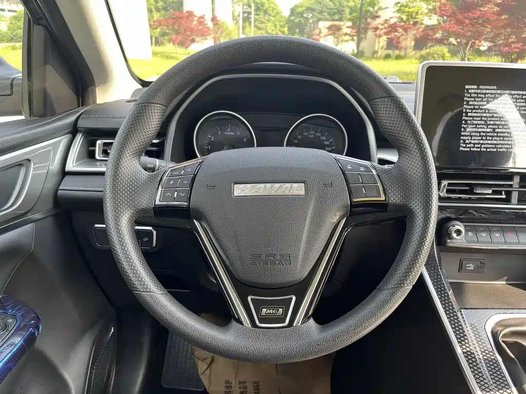HAVAL M6 2024