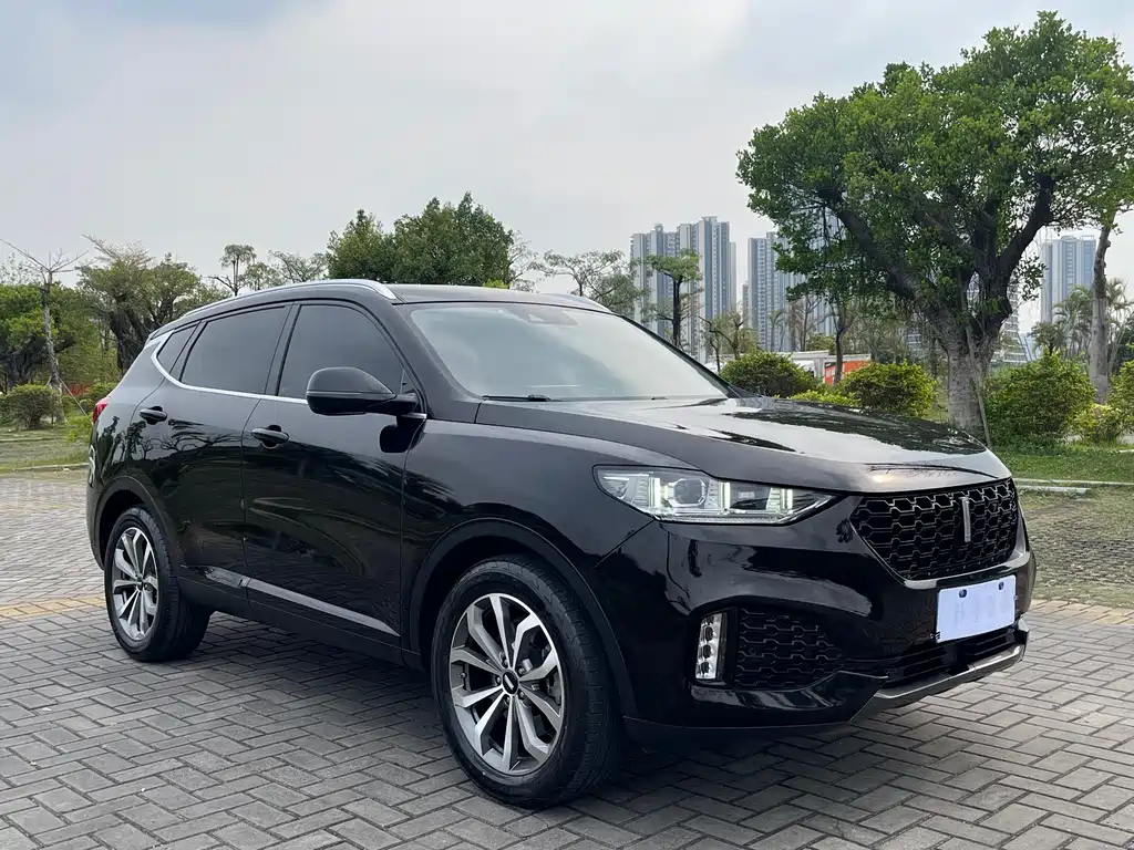 WEY VV6 2019