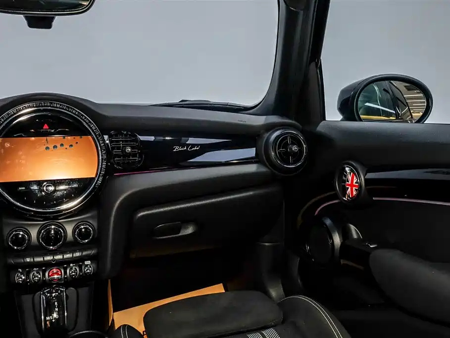 MINI OTHER 2022