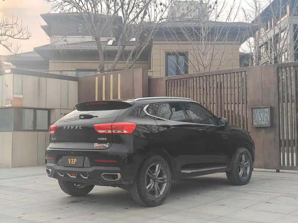 HAVAL F5 2019